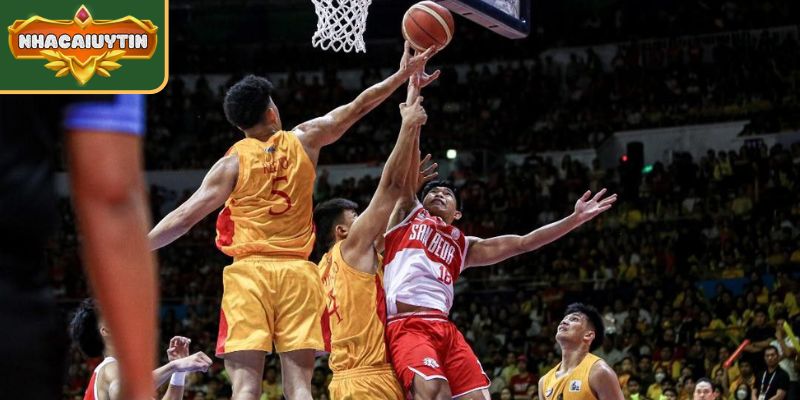 Đôi nét về soi kèo bóng rổ cho newbie 