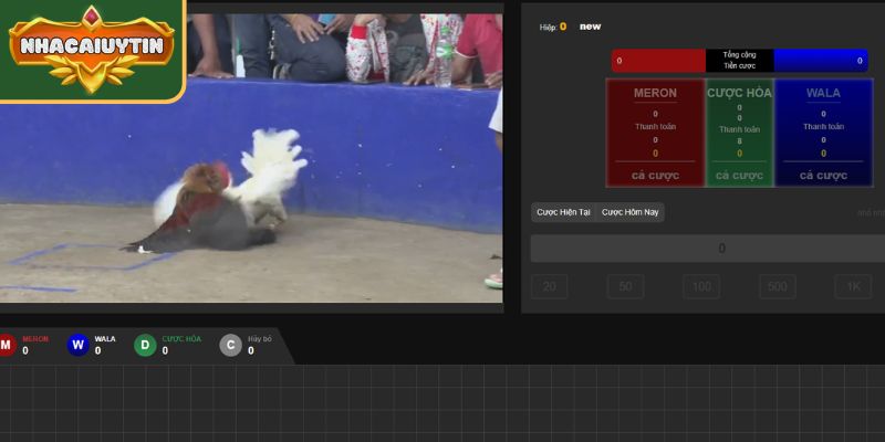 Tầm quan trọng của việc soi kèo đá gà